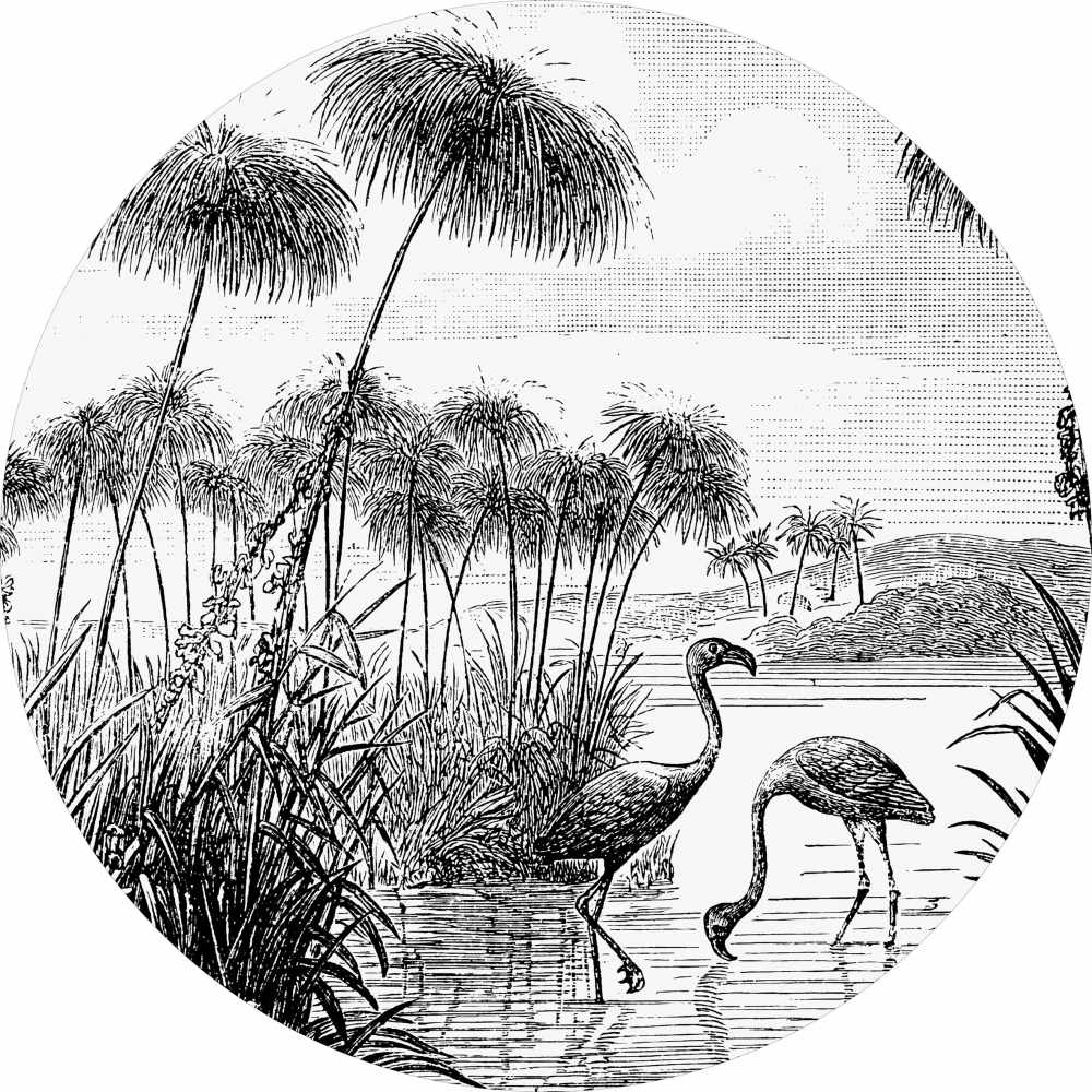 Koło Czarnobiałe - obrazek 2