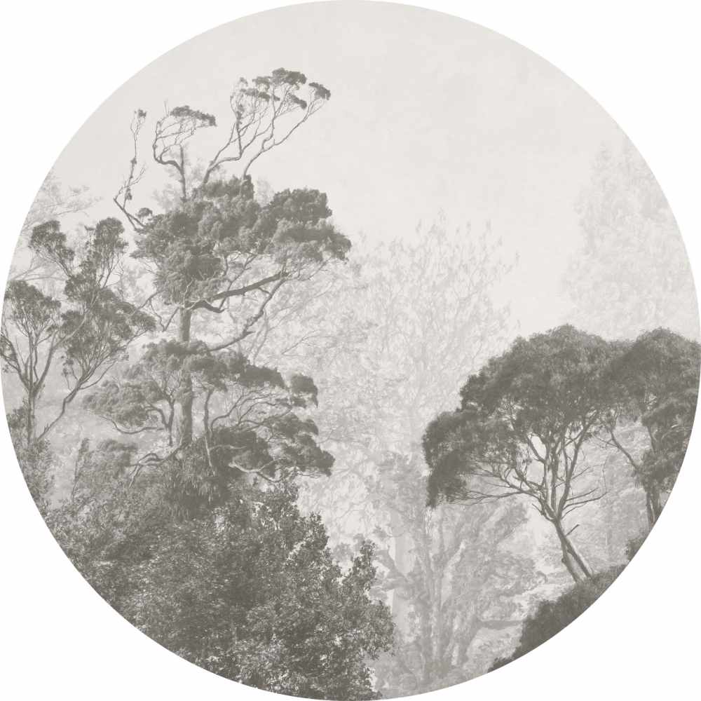 Koło Szary las - obrazek 2