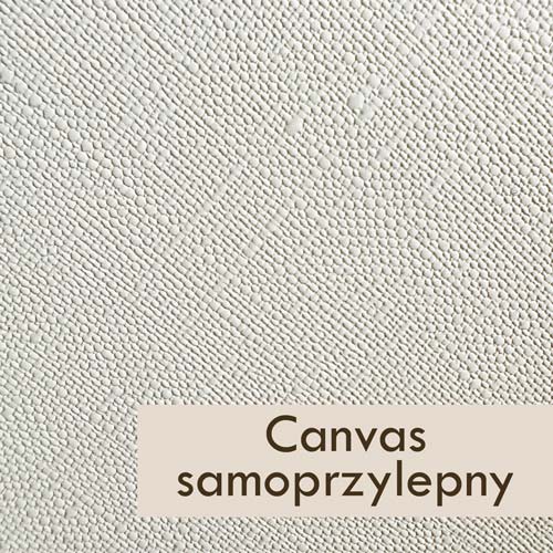 Koło Polne kwiatki - obrazek 4